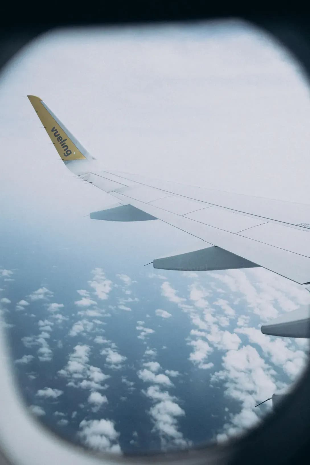 Sakura Travel 1